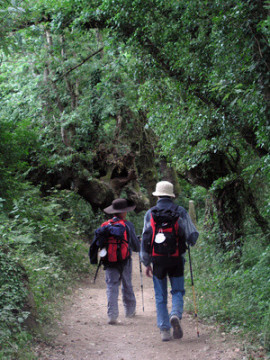 Villaviciosa auf dem Sternenweg in Asturien